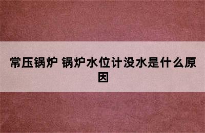 常压锅炉 锅炉水位计没水是什么原因